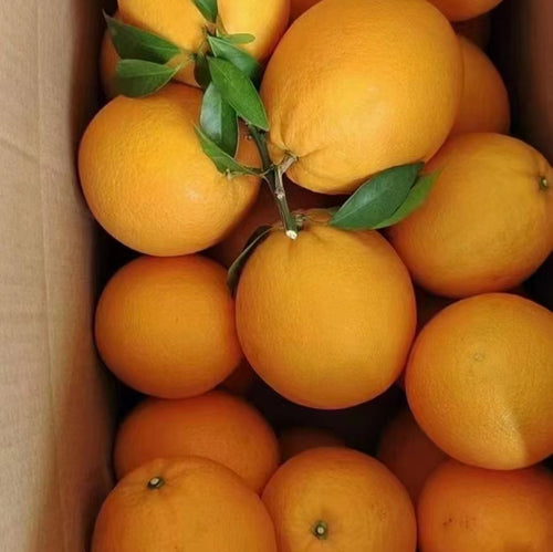 赣南脐橙十斤装